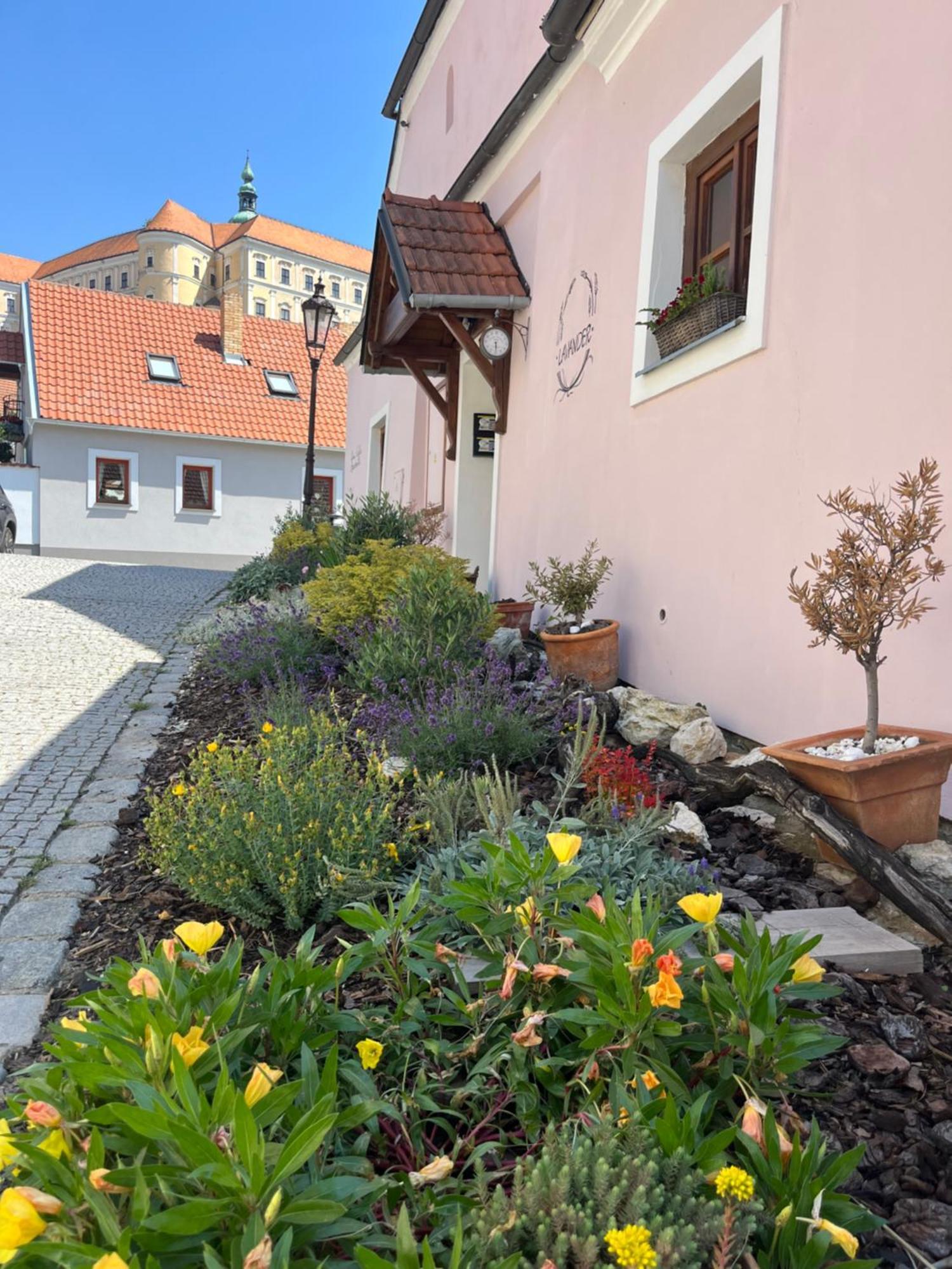 Apartmany Lavander Мікулов Екстер'єр фото