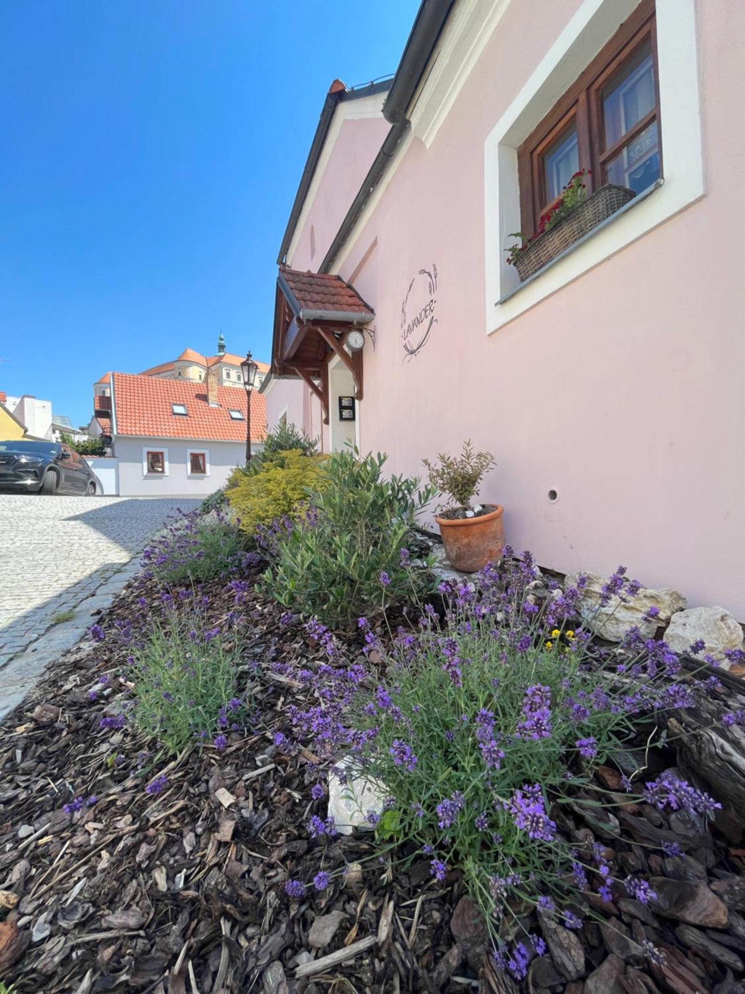 Apartmany Lavander Мікулов Екстер'єр фото